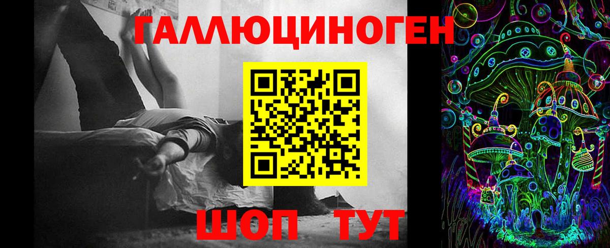 Галлюциногенные грибы GOLDEN TEACHER  Вход с VPN  Псилоцибиновые грибы прущие грибы  купить наркотик  Будённовск 