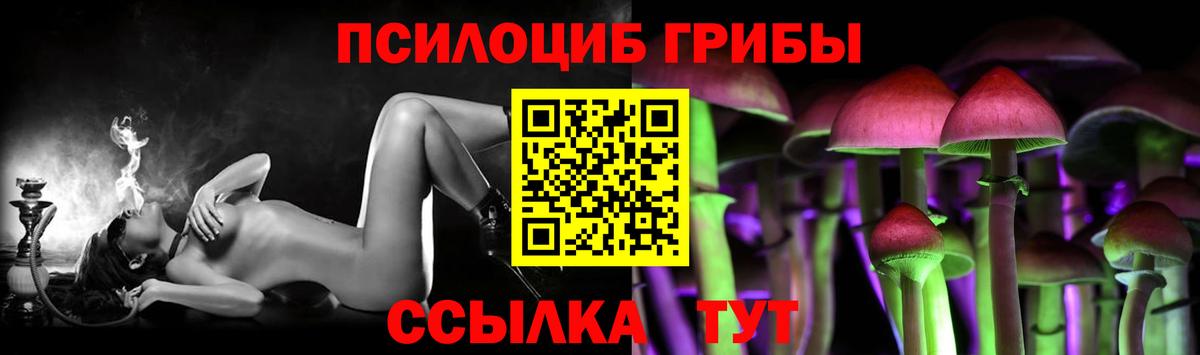Галлюциногенные грибы Cubensis Будённовск